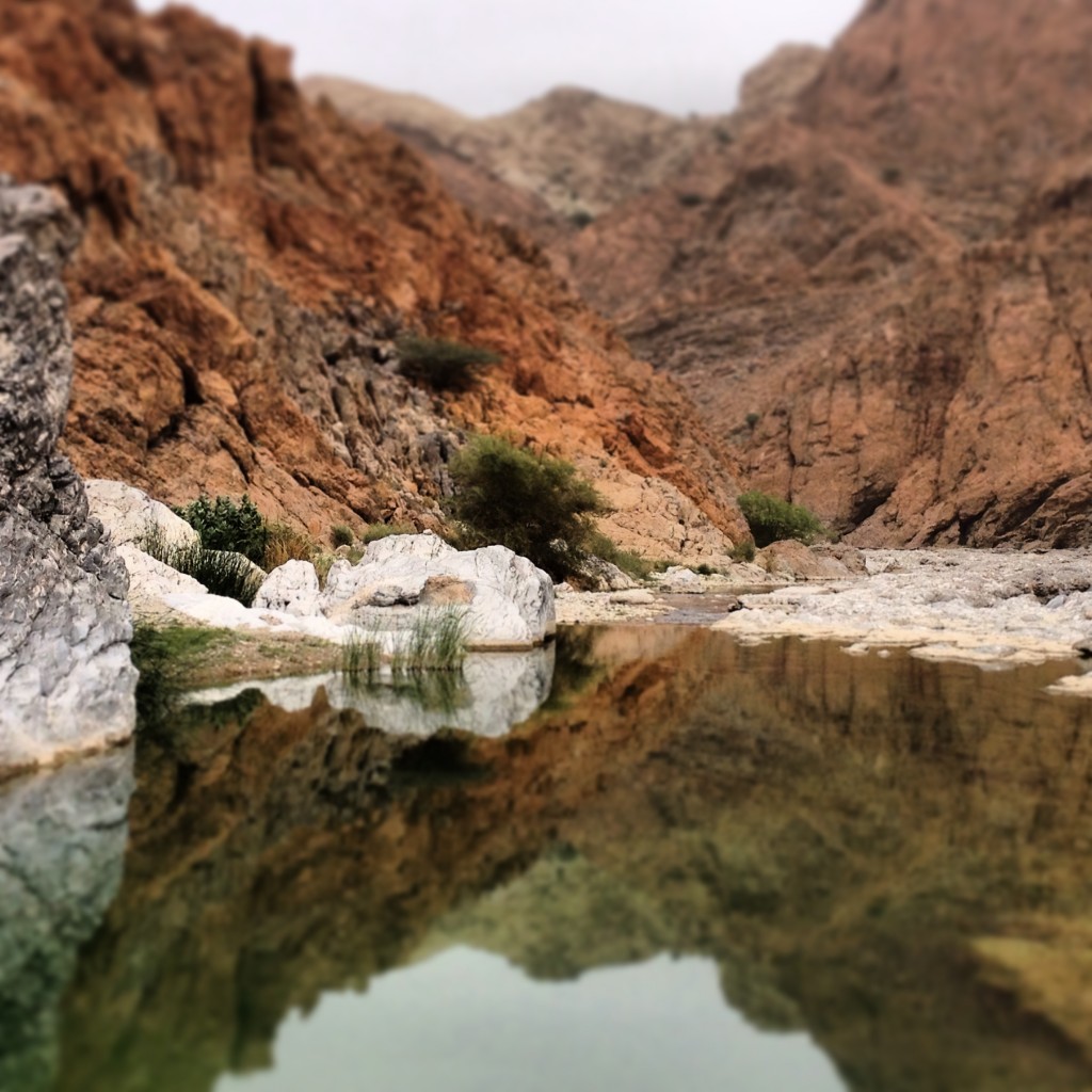 Wadi Mayh given the Instagram treatment