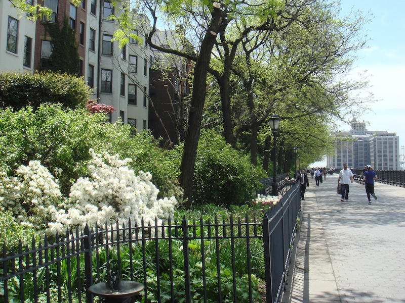 Brooklyn promenade