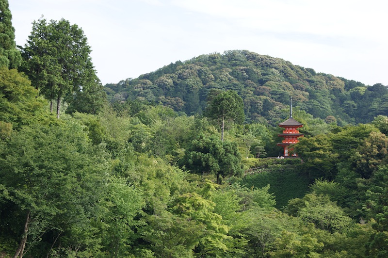 A pagoda amid the woods