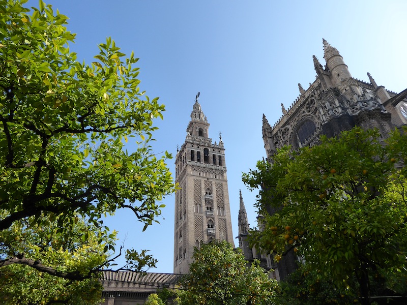 La Giralda and the cathedral