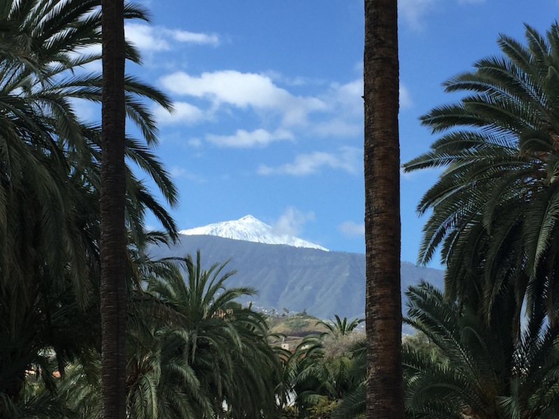 Teide cloaked in snow, from our hotel