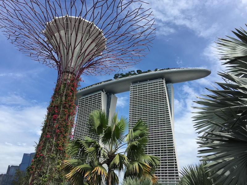 The Marina Bay Sands and a Supertree