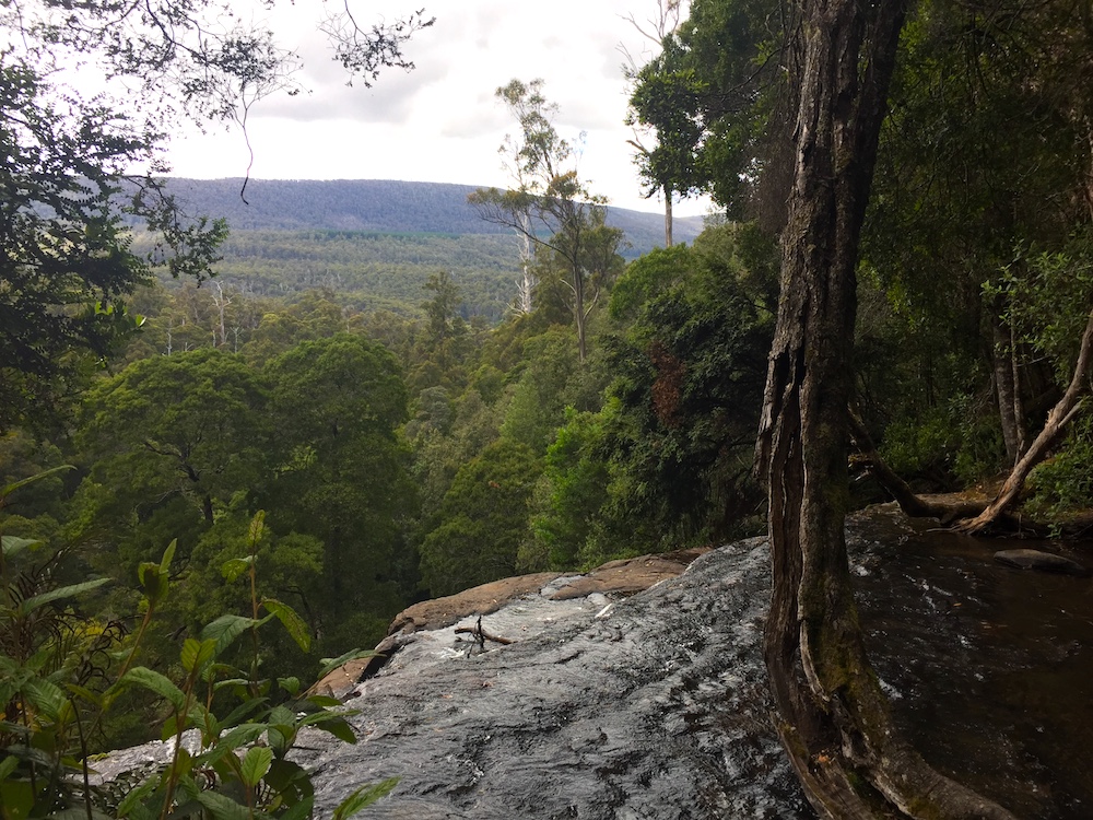 The view from the top of the Russell Falls