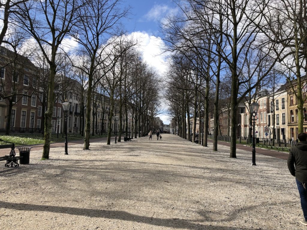 The magnificent Lange Voorhout