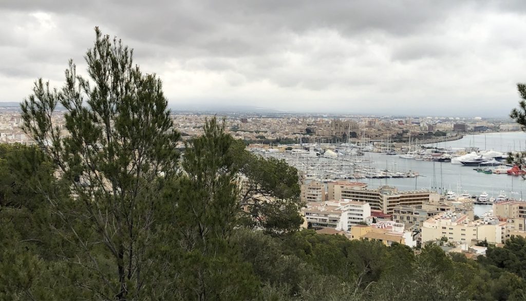 Palma from the castle