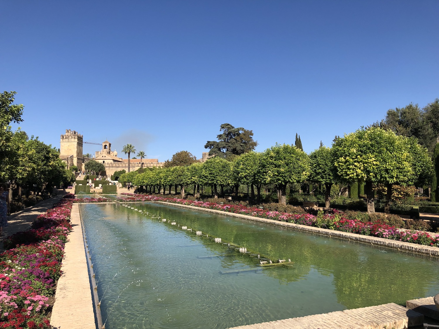 The Alcazar's amazing gardens